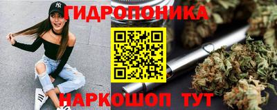 PSILOCYBIN Сланцы