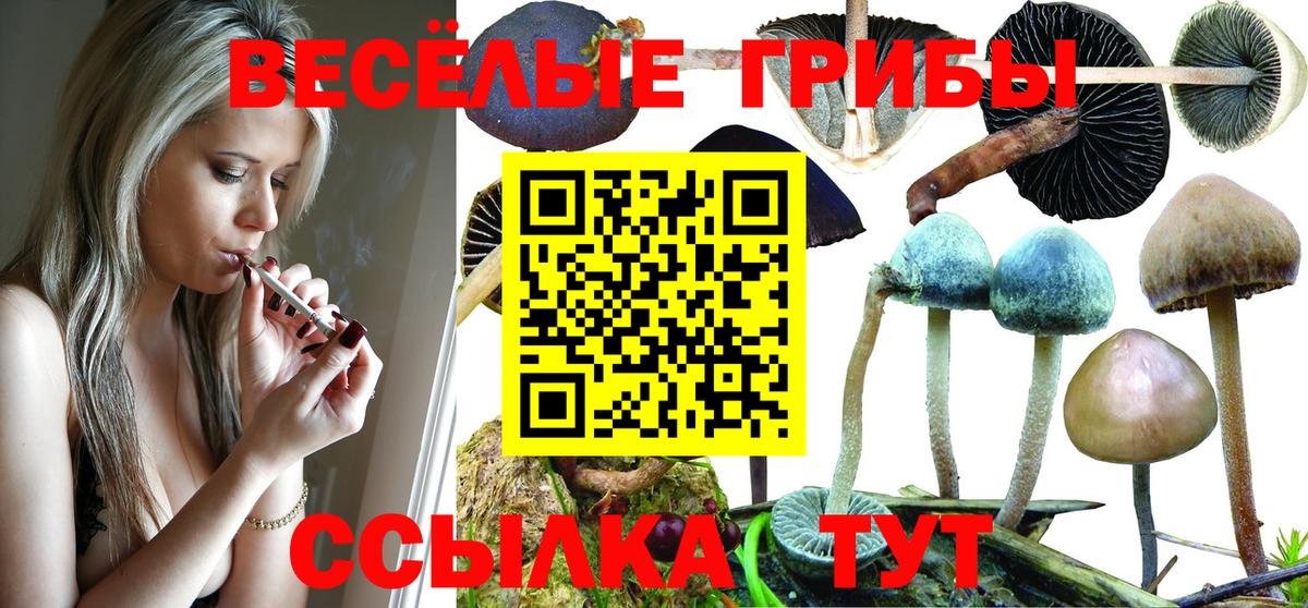 Псилоцибиновые грибы MAGIC MUSHROOMS  Галлюциногенные грибы ЛСД  Барабинск  Вход с VPN 